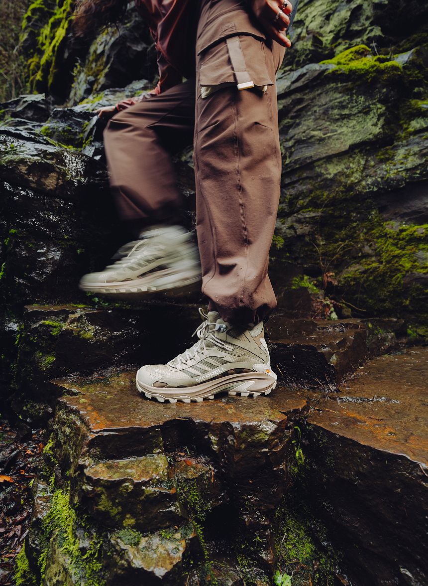 Hiking shoes